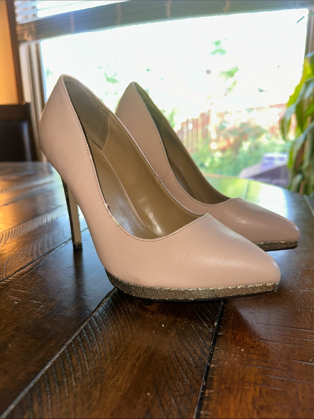 Express Blush Pink Pointed-Toe Heels with Metallic Trim